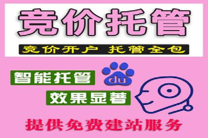 百度推广代运营的长期效益与价值分析